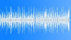 Jazzy Acoustic Guitar Bass And ShakersStock Music