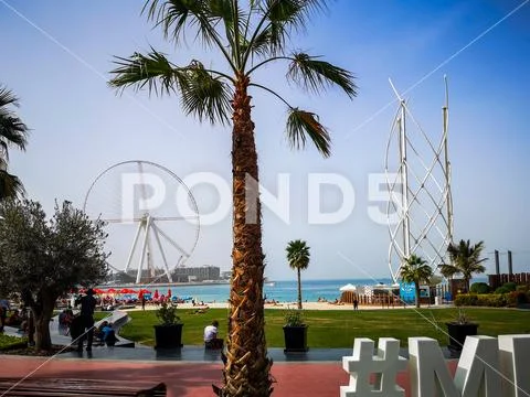 JBR beach with Ain Dubai ferris wheel, a tourist attraction in Dubai Stock Photos