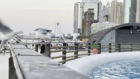 JBR beach area Stock Footage 233856779