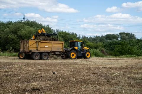 JCB loader and tractor clearing vegetation at Rammey Marsh, Enfield, London Stock-Fotos