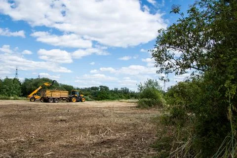 JCB loader and tractor clearing vegetation at Rammey Marsh, Enfield, London Stock Photos
