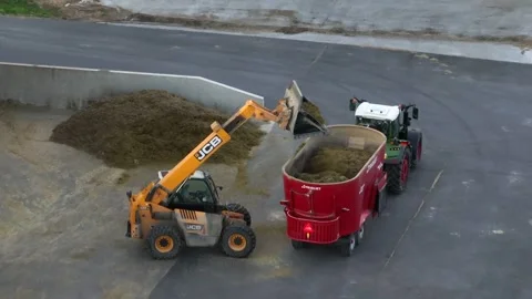 JCB telehandler dumping silage into TRIOLIET forage silage mixer for Stock Footage 251727008