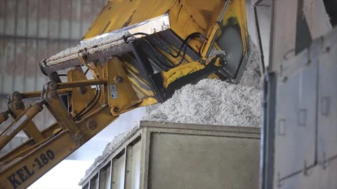JCB unloading a cotton seed going in cleaning machine. Stock Footage 313913410