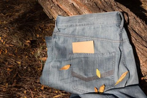 Jeans in fall Stock Photos