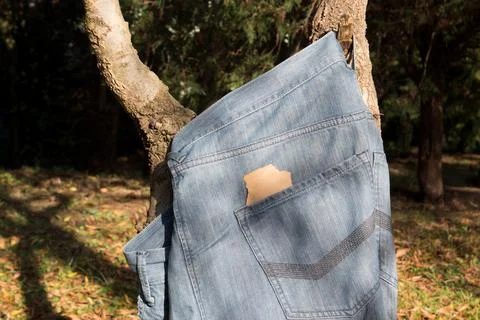 Jeans in the fall Stock Photos