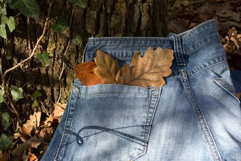 Jeans in fall Foto stock