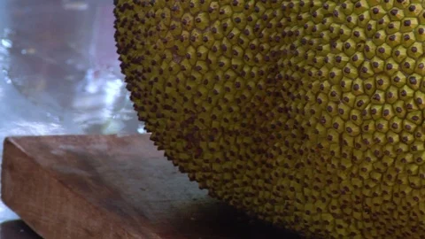 Jeckfruit closeup 스톡 동영상 114486724