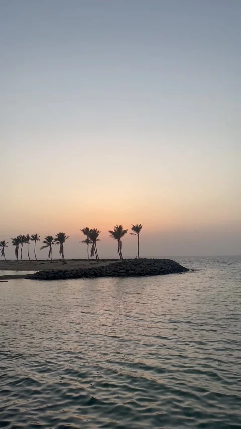 Jeddah Corniche Waterfront at Sunset with Palm Trees Stock Footage 342146787