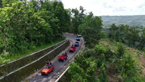 Jeep adventure in the dense pine forest of Pinus Becici, Yogyakarta Stock-Footage 332379255