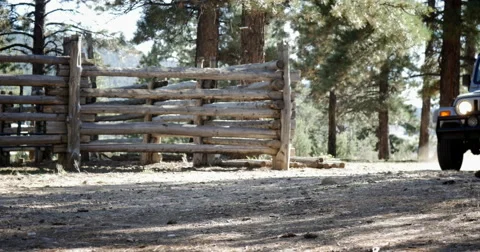 Jeep Drives Through Cattle Ranch Parks In Front Of Camera 库存影片 56026534