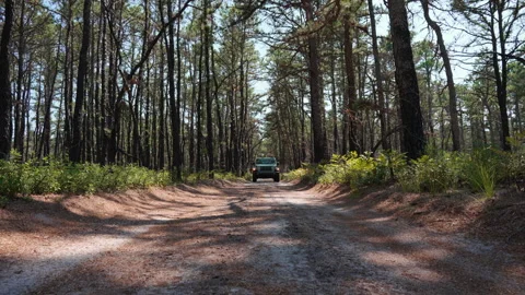 Jeep driving down dirt trail in forest Stock Footage 254338969