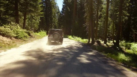 Jeep driving down a dusty forest road. Stock Footage 88369630