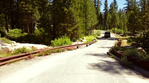 Jeep driving down a dusty forest road. Stock Footage 88369636