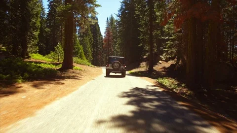 Jeep driving down a dusty forest road. Stock Footage 88369652