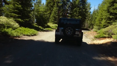 Jeep driving down a dusty forest road. Stock Footage 88369689