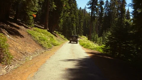 Jeep driving down a dusty forest road. Stock Footage 88369694