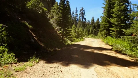 Jeep driving down a dusty forest road. Stock Footage 88369705