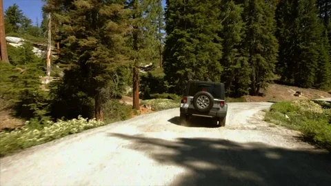 Jeep driving down a dusty forest road. Video stock 88406644
