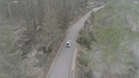 Jeep driving in forrest Stock Footage 101301662