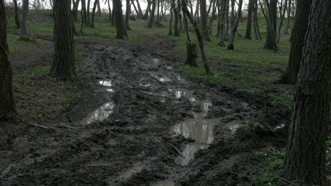 Jeep driving in mud in a forest Stock Footage 87368818