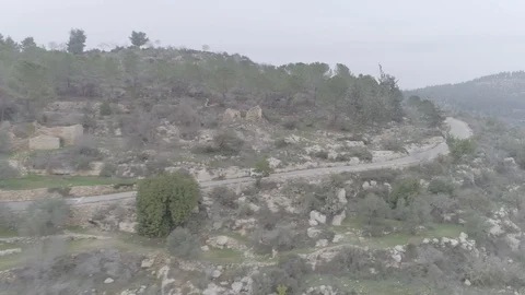 Jeep driving through forrest Stock Footage 101305307