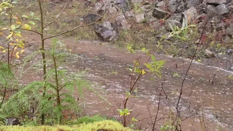 Jeep driving through puddle Vídeo Stock 172563251