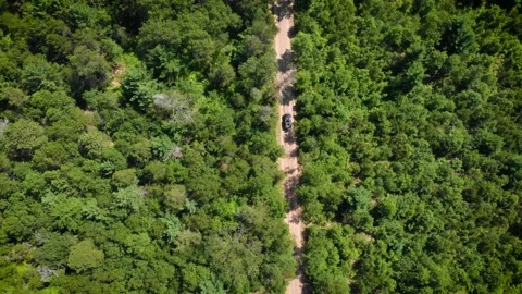 Jeep Driving Through Sandy Forest Drone Shot Stock Footage 226217558