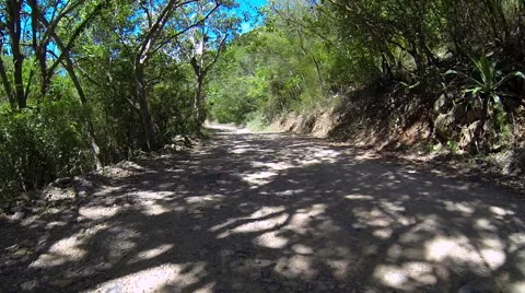 Jeep exploring dirt roads in the Virgin Islands Stock Footage 41481611