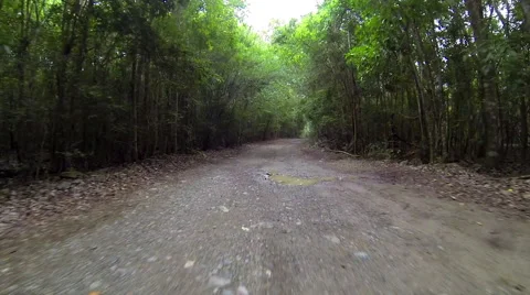 Jeep exploring the Virgin Islands Stock Footage 41445582