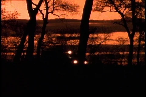 Jeep with flood lights moves through the trees just after sunset. Stock-Footage 86752544