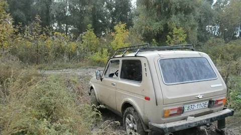 Jeep Stock Footage 36375056