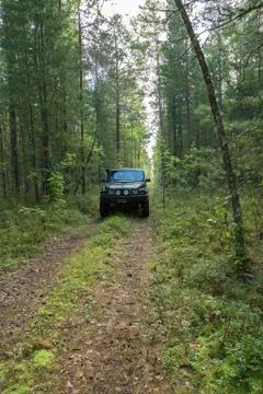 Jeep in the forest 스톡 사진