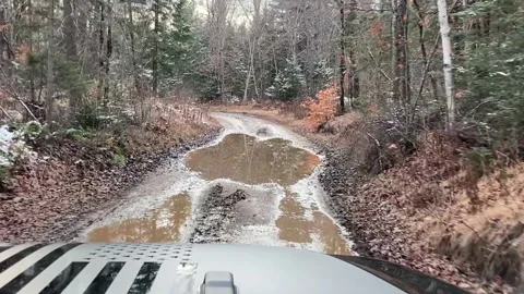 Jeep on logging road Stock Footage 142293963