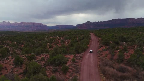 Jeep Moving Through Desert Forest Landscape Stock Footage 317331744