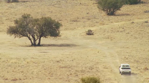 Jeep passing through grassland in ranch Video stock 54591089