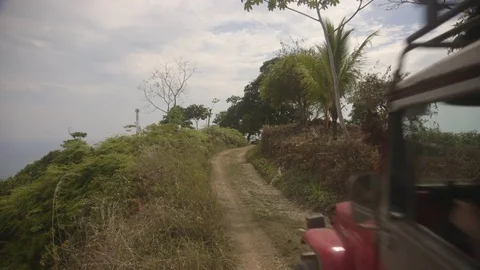 Jeep passing through a rustic road with vegetation on either side Stock Footage 79792071