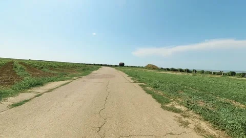 Jeep ride on the vineyard Video stock 235885247