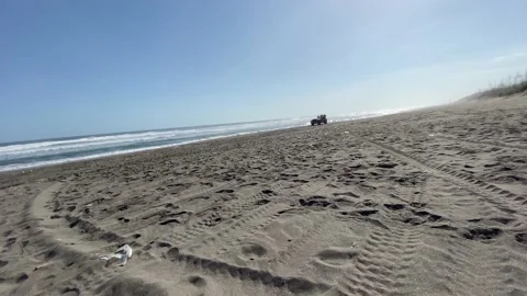 Jeep Riding on the beach Stock Footage 144095700