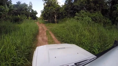Jeep Riding in small path african jungle Stock Footage 168621889