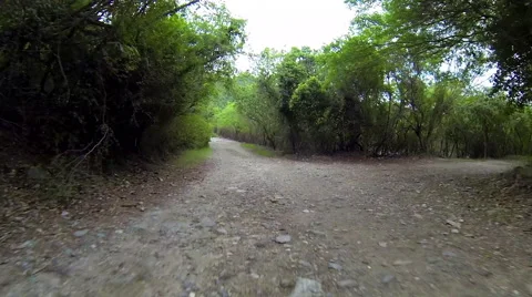 Jeep rolls through a puddle Stock Footage 41461186