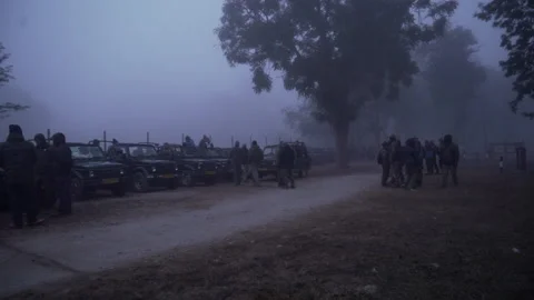 Jeep safari Stock Footage 208628149