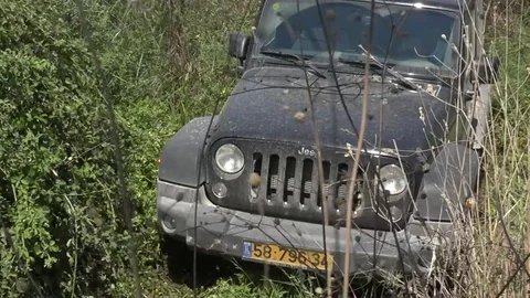 Jeep in swamp Stock Footage 82415202