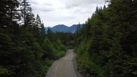 Jeep Trail Видео 165631056