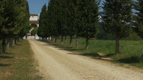 Jeep on Tuscan tree lined avenue Video stock 76154455