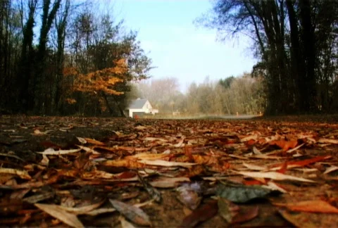 Jeep_02_NTSC Видео 280609