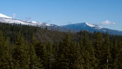 Jefferson County Forest Stock Footage 87565589