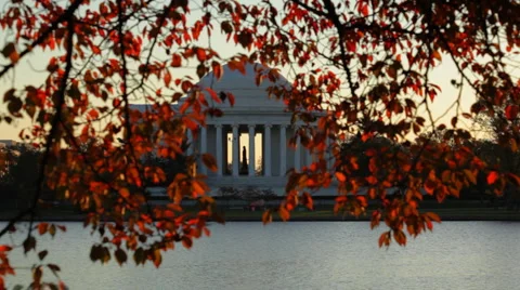 Jefferson Memorial Beyond Colorful Leaves Video stock 946953