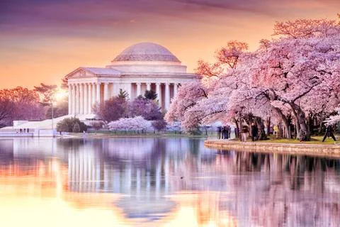 The Jefferson Memorial during the Cherry Blossom Festival Stock Photos