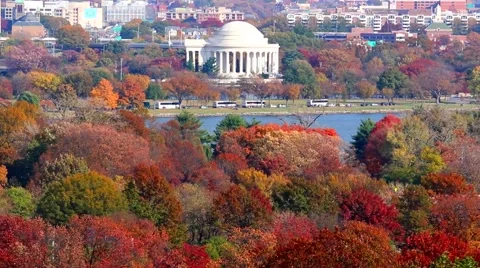 Jefferson Memorial Stock Footage 59173294