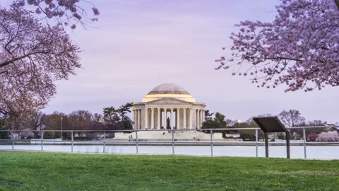 Jefferson Memorial Vídeo Stock 104173448